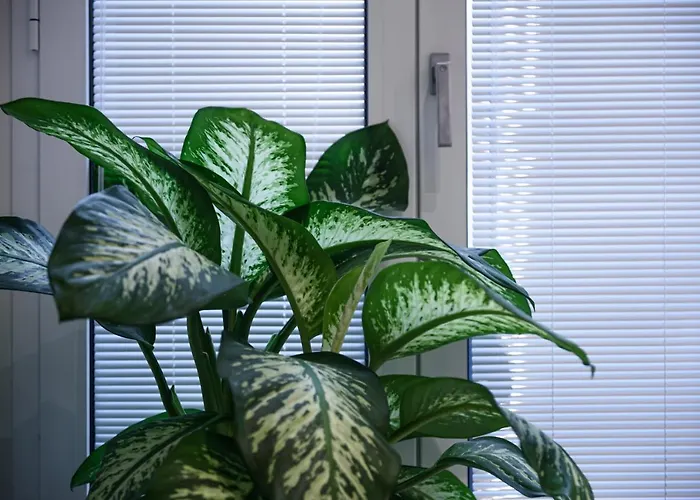 Interno BaroccoHotel Napoli